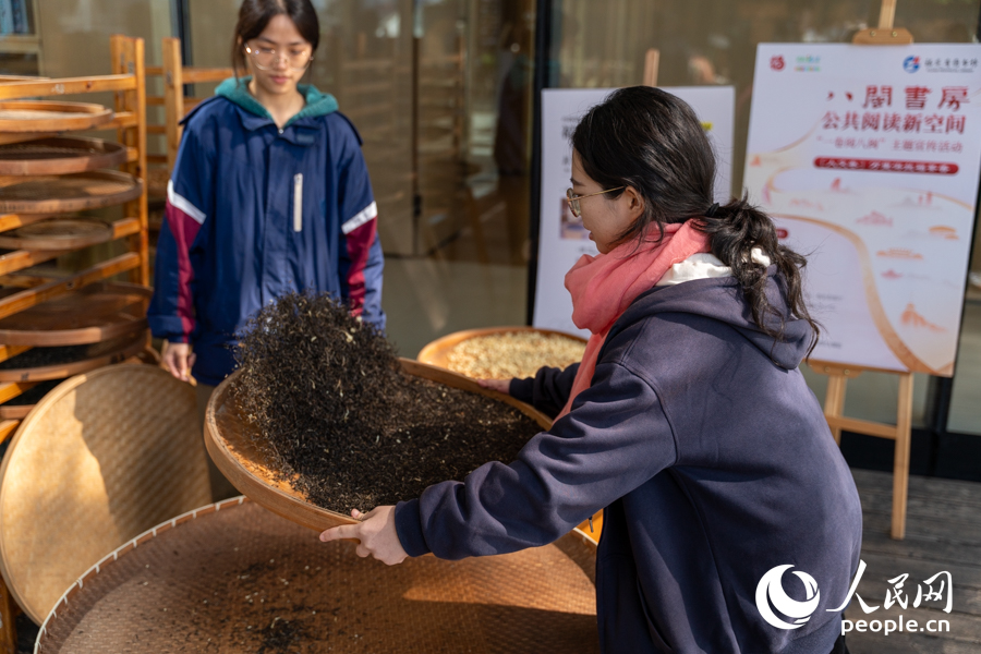 读者体验茉莉花茶窨制技艺。实习生 郑舒尘摄