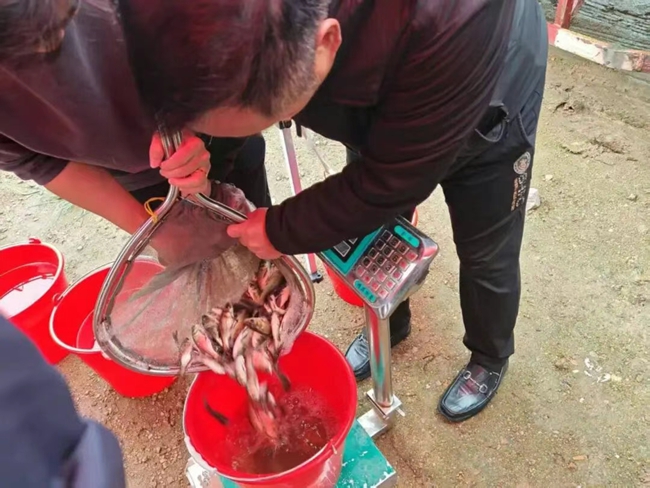 放流现场。古田县融媒体中心供图