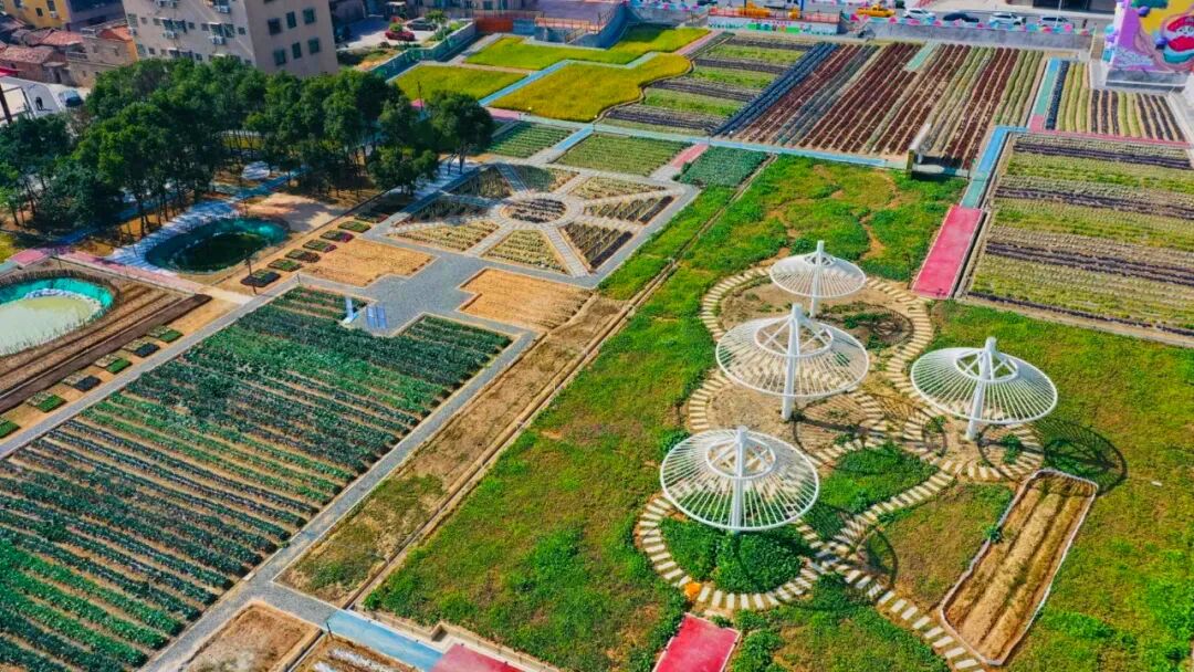 沙美都市田园