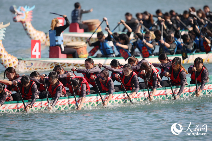临近终点，各队伍你追我赶，全力挥桨。人民网记者 陈博摄