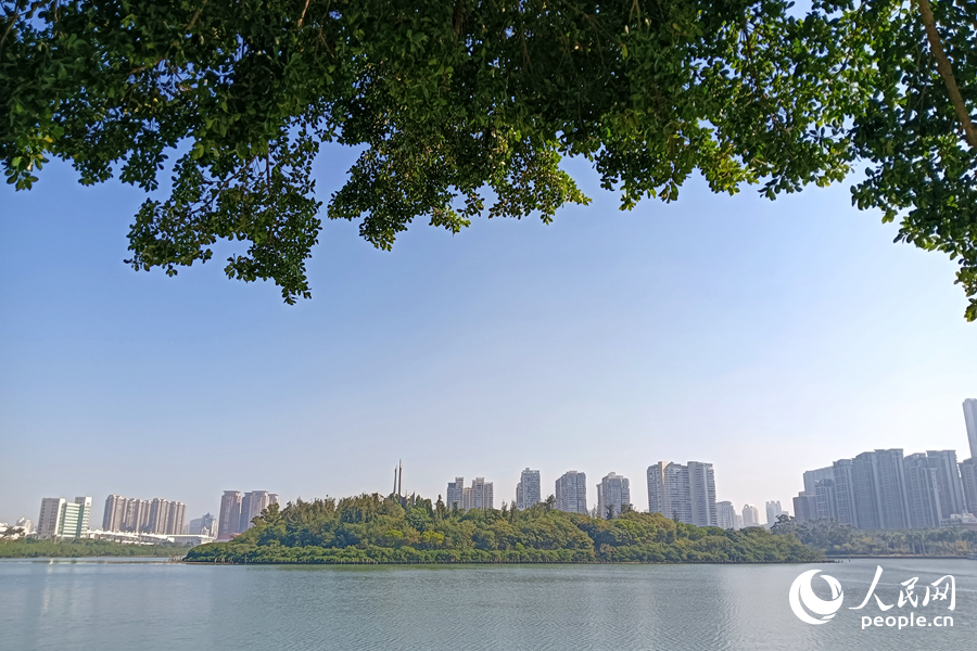水清岸绿的厦门筼筜湖。人民网记者 陈博摄