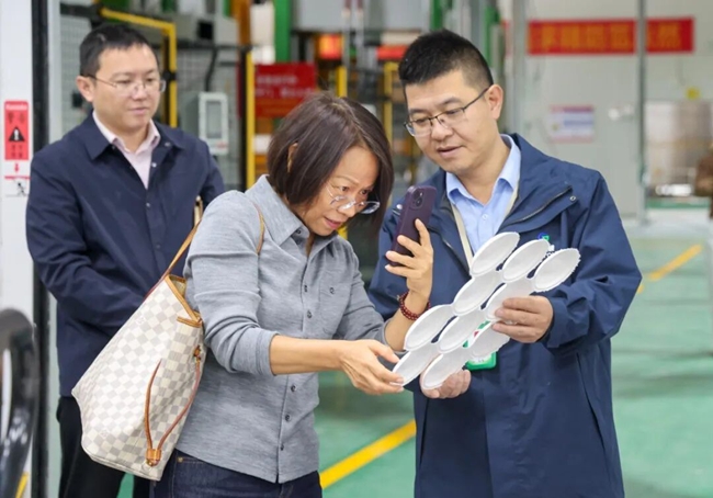 吴淑芳教授调研青橄榄公司