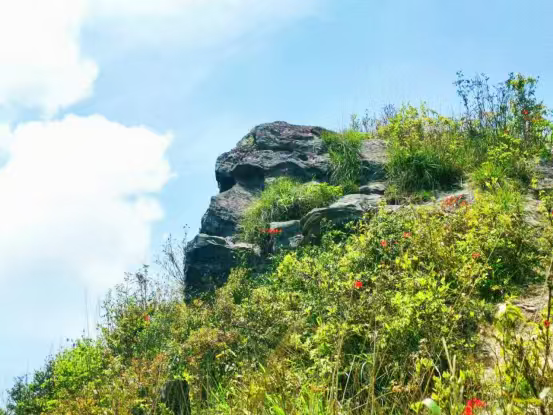 顺昌县内形似猴的山石。顺昌县融媒体中心供图