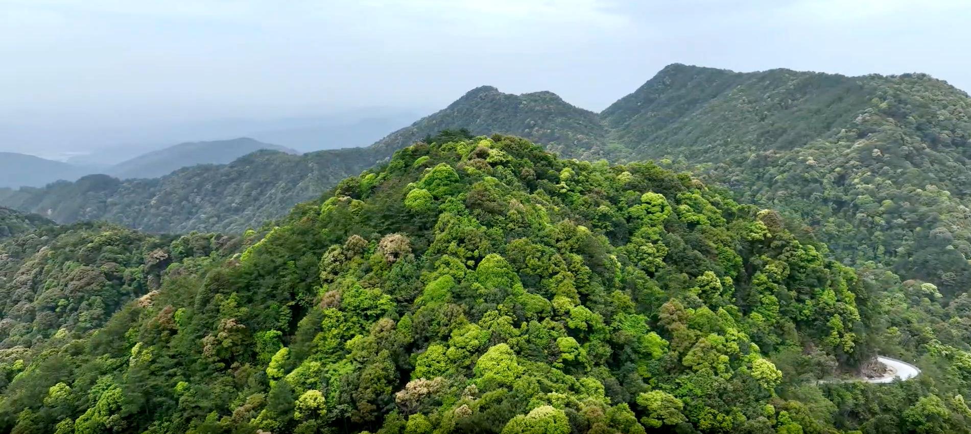 �������ӷ���Ҽ���Ȼ���������ں���һ��