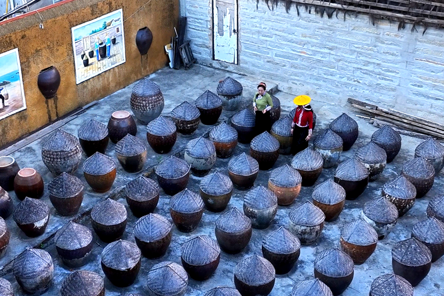 露天晒场上整齐排列着近百个发酵缸用于晒制鱼露。公金辉摄