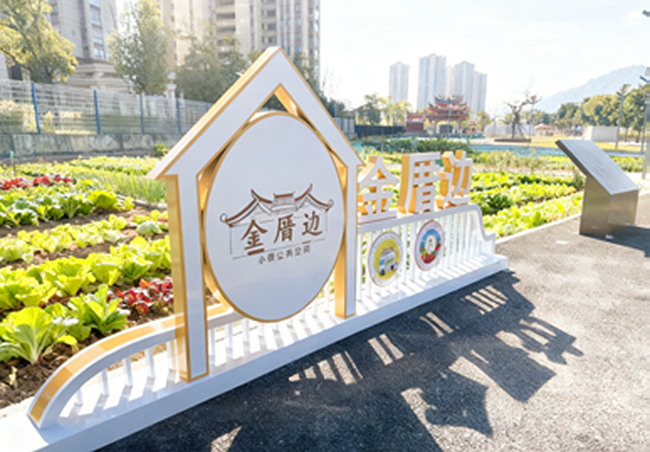 薌城區芝山街道的前山社區“共享菜園”