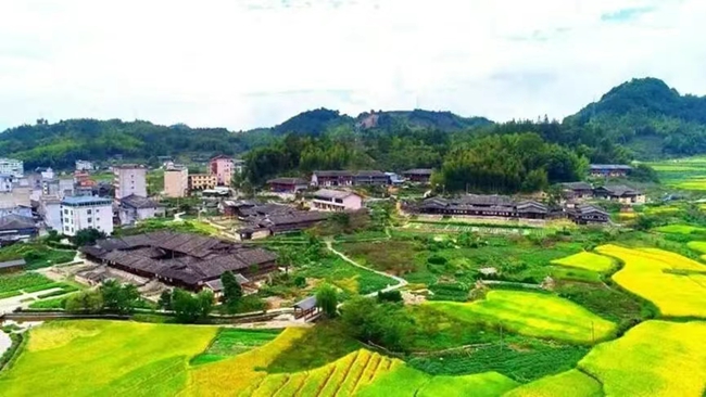 蓋洋村生態公園