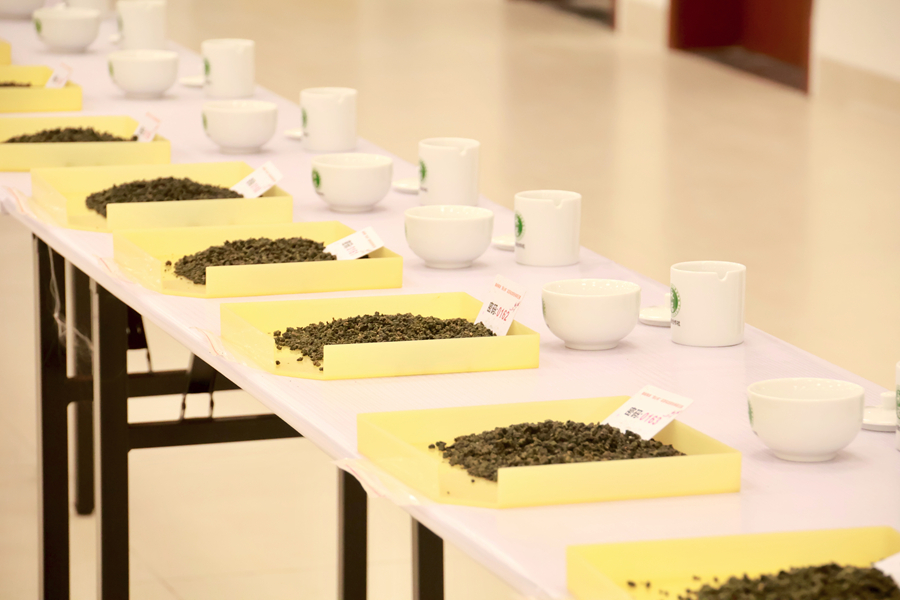 桌上整齐摆放着参赛的台式乌龙茶茶样,静待评委品鉴。连各亲摄