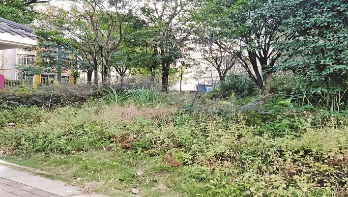 С��һ�Ǹ���ǰ