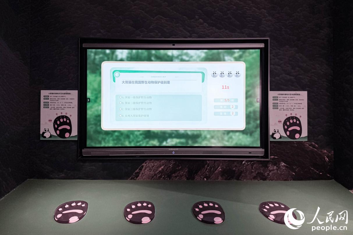 熊猫科普馆内的答题互动体验区。人民网记者 李唯一摄
