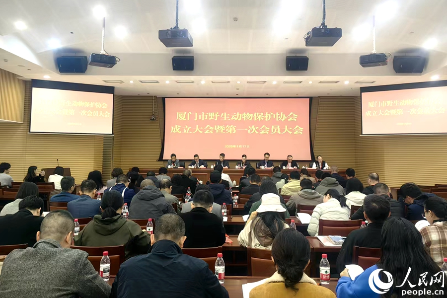 协会成立现场。人民网 余乃鎏摄