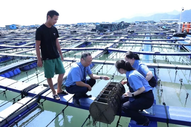 办理涉海案件时，检察工作人员现场了解情况。罗源县检察院供图