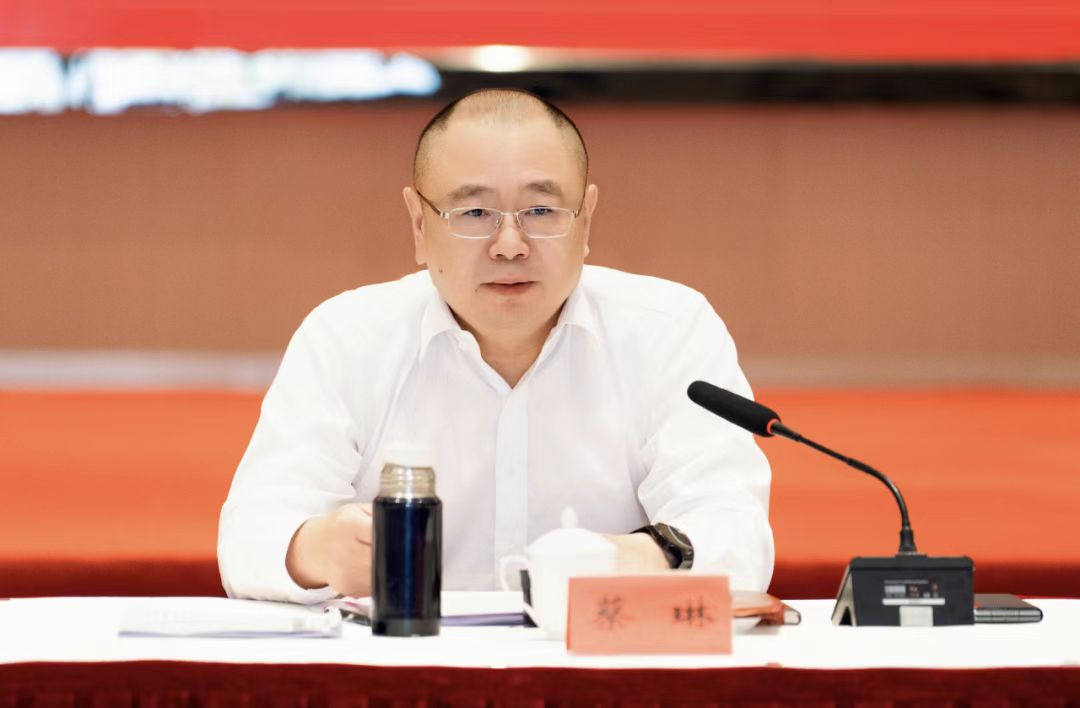 蔡琳（资料图）