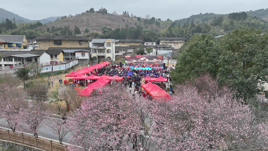 闽台（南靖）梅花文化交流活动暨2026年南靖县“三下乡”集中服务活动在南靖县梅林镇举办。南靖县融媒体中心供图