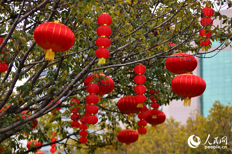 一串串灯笼随风摇曳,年味十足。人民网记者 陈博摄