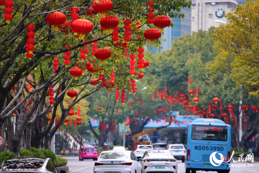 红红火火的灯笼挂满枝头。人民网记者 陈博摄