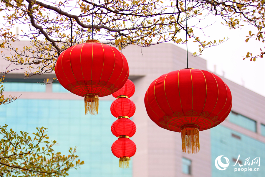 大红灯笼高高挂。人民网记者 陈博摄