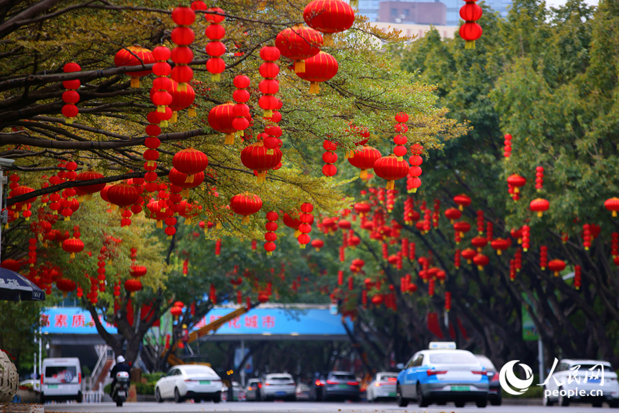 红灯映鹭岛,福运满街巷。人民网记者 陈博摄