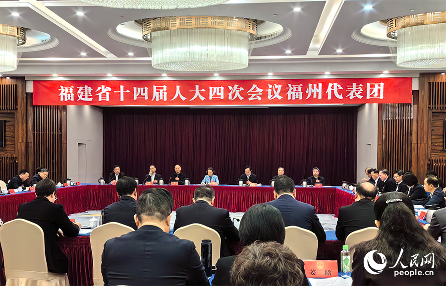 福州代表團分組審議現場。人民網記者 林曉麗攝