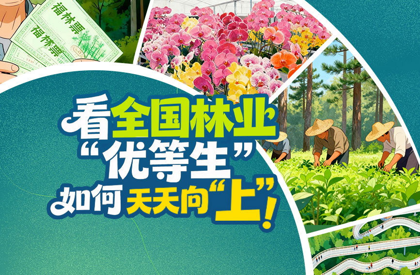 看全國林業“優等生”如何實力“上”分