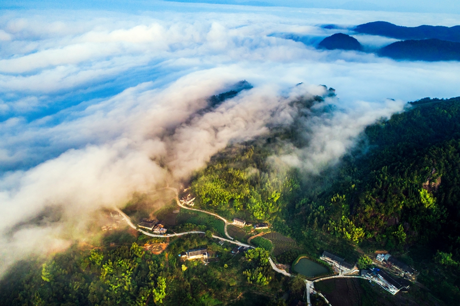 雲霧籠罩下的芹草洋