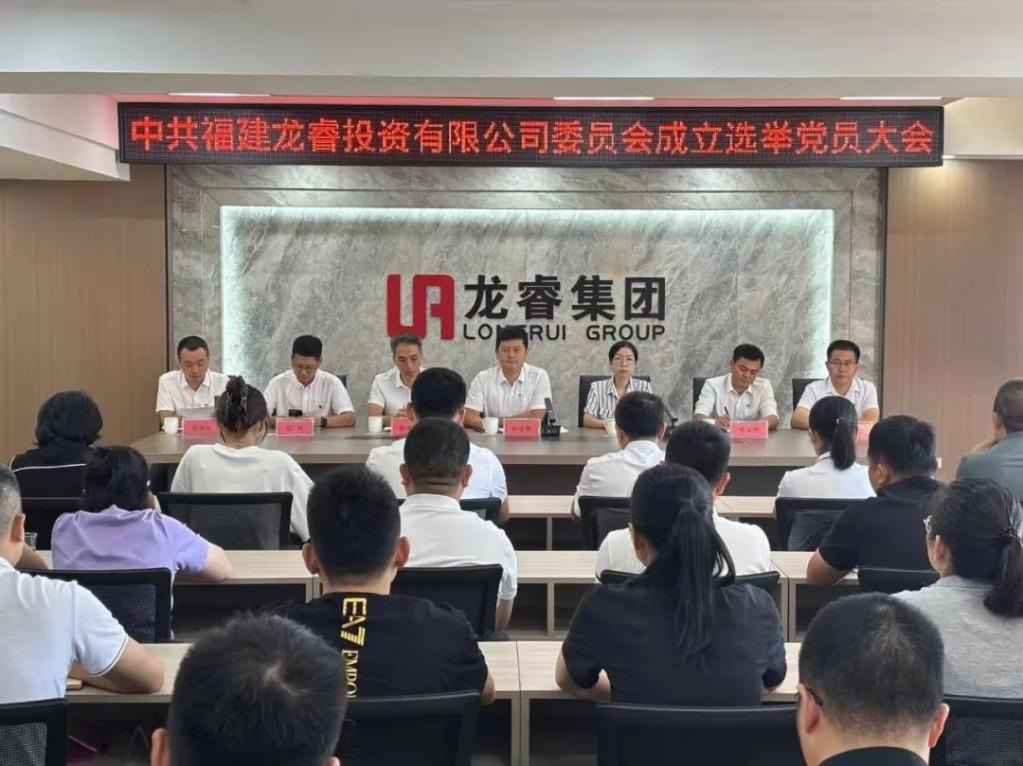 龙睿公司党委成立