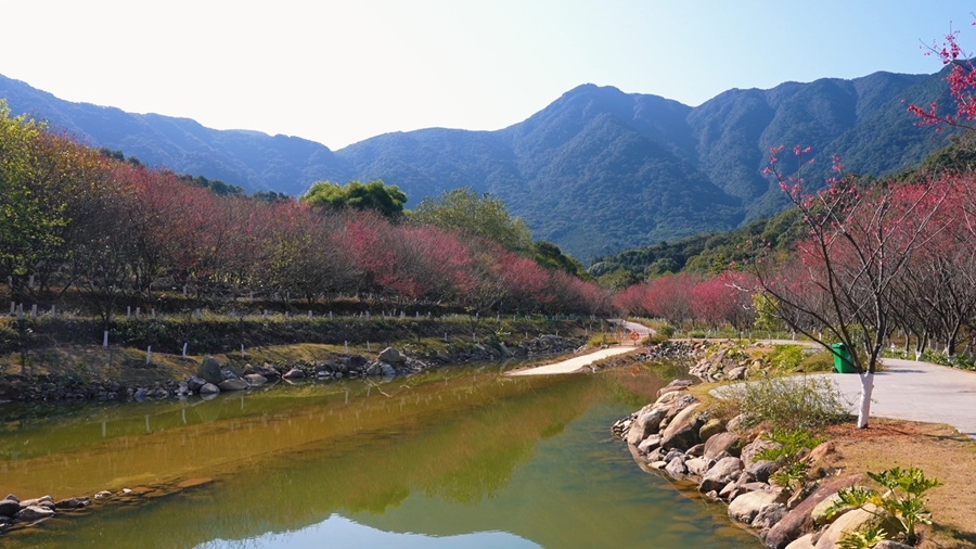 福清灵石山的春日画卷在山水间徐徐展开