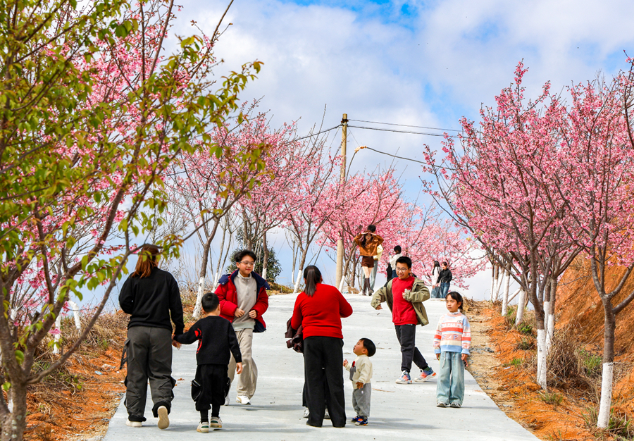 游客漫步3公裡蜿蜒步道，盡享新春休閑時光