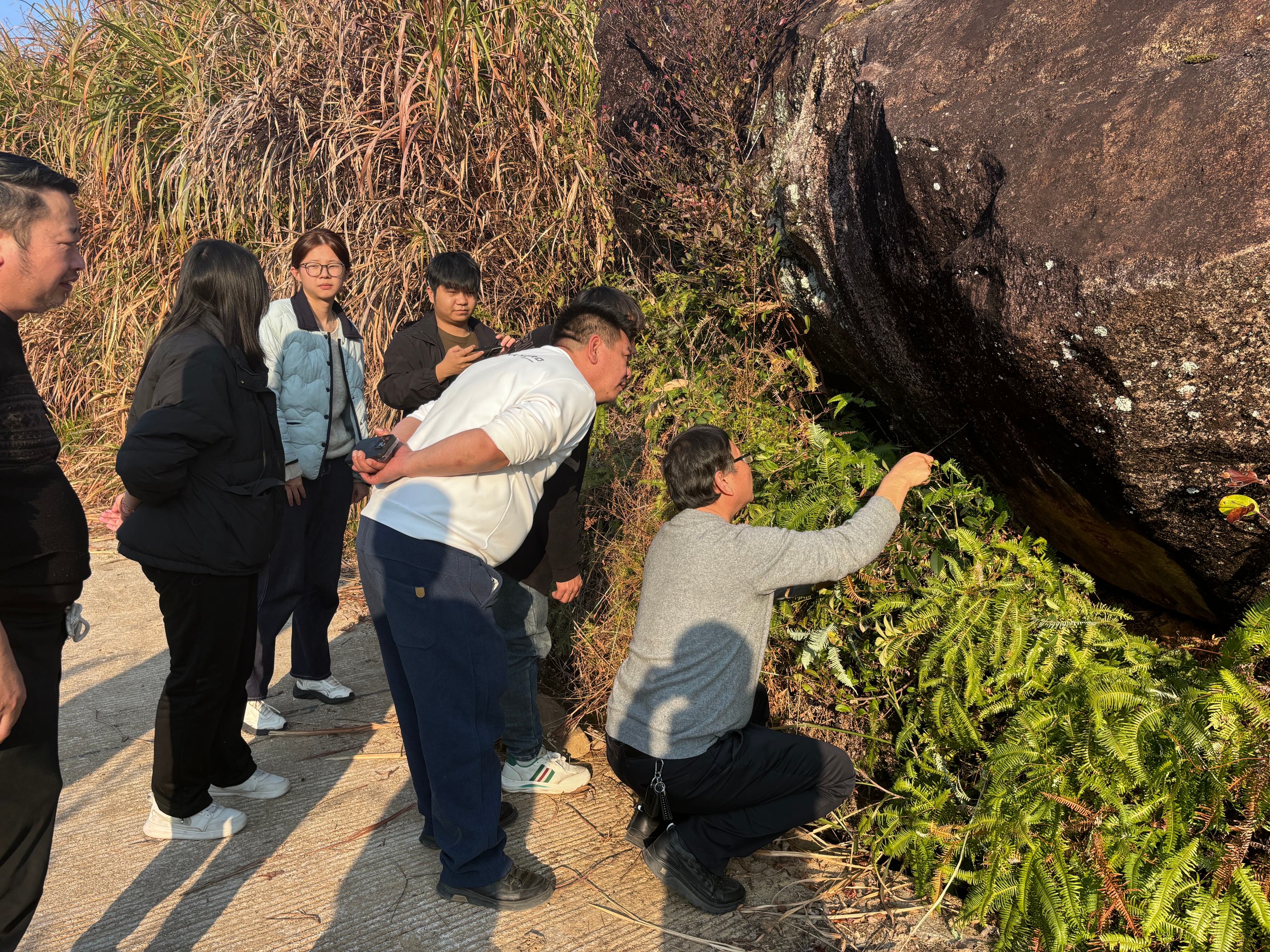 實踐隊師生在首陽村調研