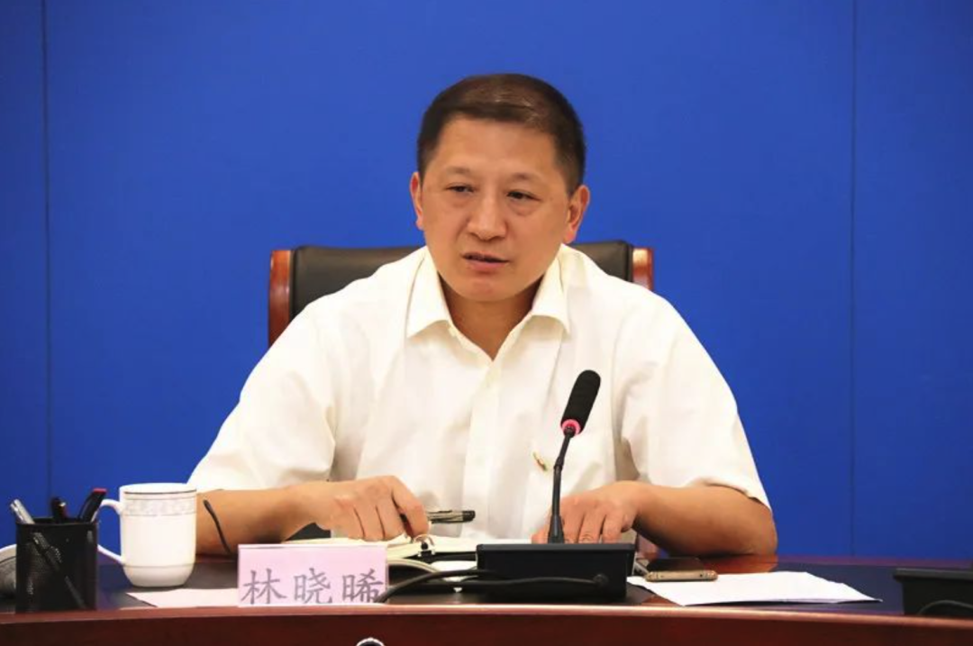 林曉晞（資料圖）