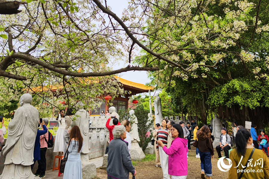 游人纷至沓来,享受闹中取静的春日美好时光。人民网记者 陈博摄