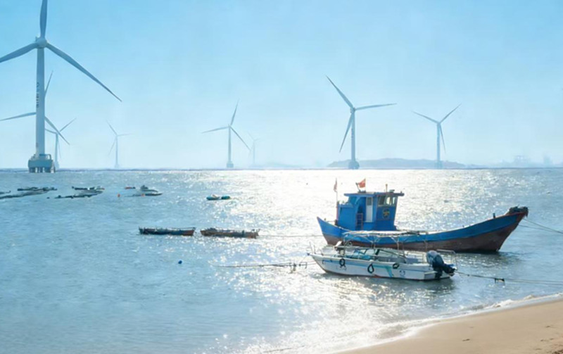 福清市江陰鎮小麥村:黨建賦能文旅,邂逅海島的浪漫與生機