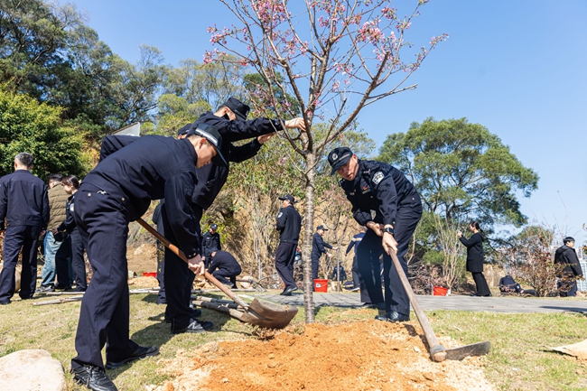晋江：植树添新绿