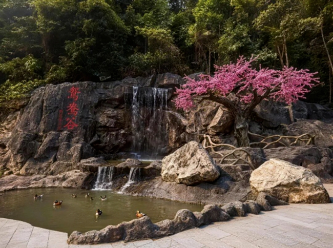 邹洋村鸳鸯谷新貌。邹洋村村委会供图