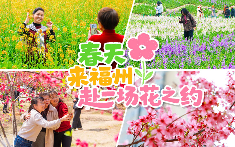 在福州，與繁花盛開的春天撞個滿懷