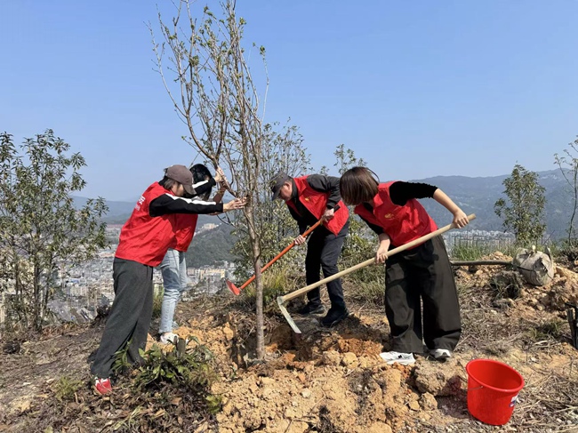 平安產險志願者在寧德福安開展義務植樹活動