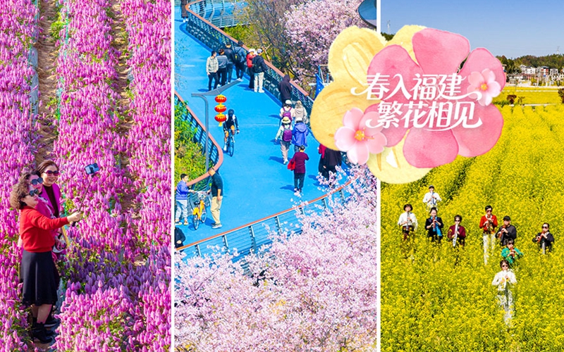 春入福建  繁花相見