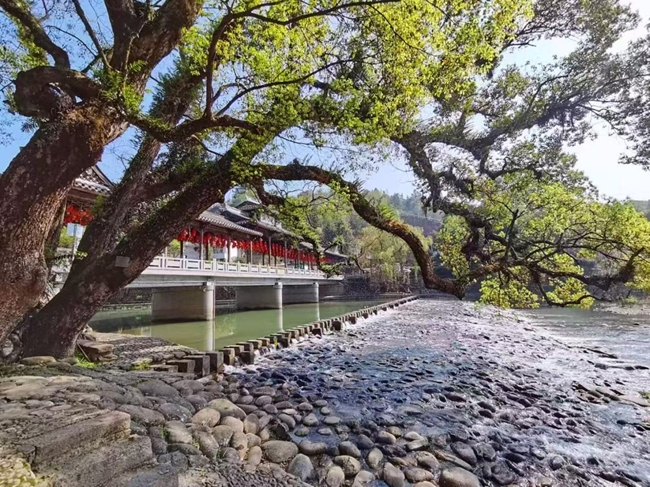 西浦不仅以花闻名，更以水为魂。寿宁县犀溪镇供图