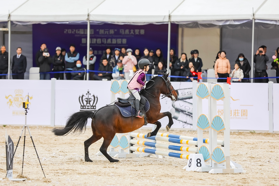 首届“创元杯”马术大奖赛暨福建省马术新锐赛