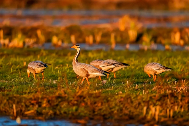 长汀汀江源自然保护区生态环境优美。长汀县融媒体中心供图