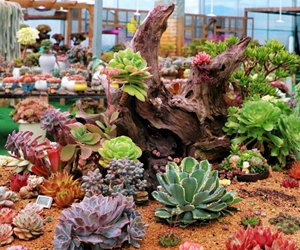 “鮮花盛開”背后的“生態家底”/