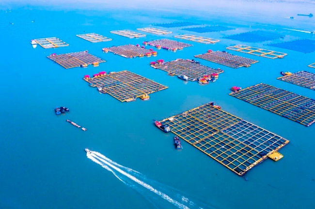海上牧场。蕉城区融媒体中心供图