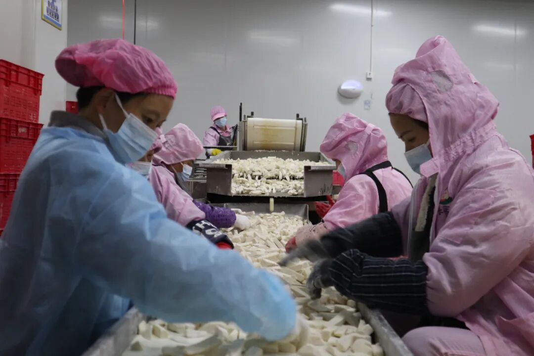 加工厂内，工人们分工明确、协作默契