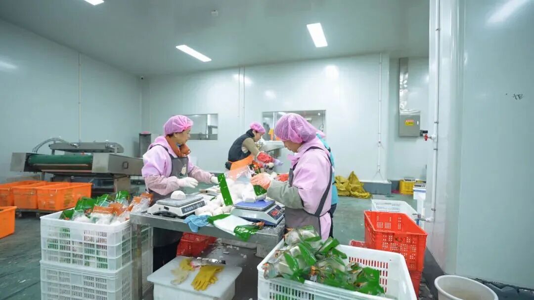 今年以来，该公司已为当地村民提供了80余个就业岗位