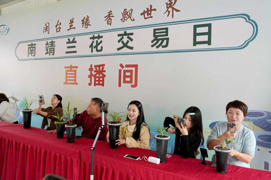 现场还设立标准化直播间，专职主播团队全程在线讲解兰花知识、展示精品。南靖县融媒体中心供图