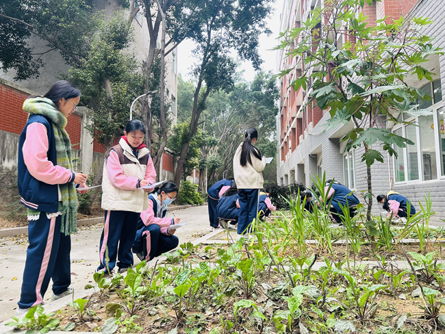 学生项目化学习