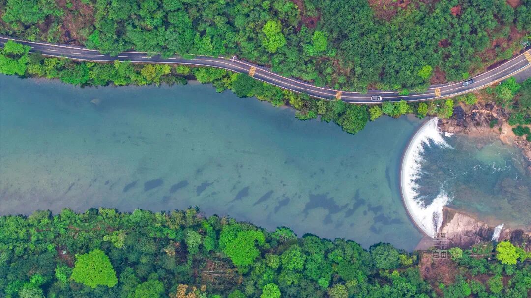 武夷山国家公园1号风景道。孙开彦摄