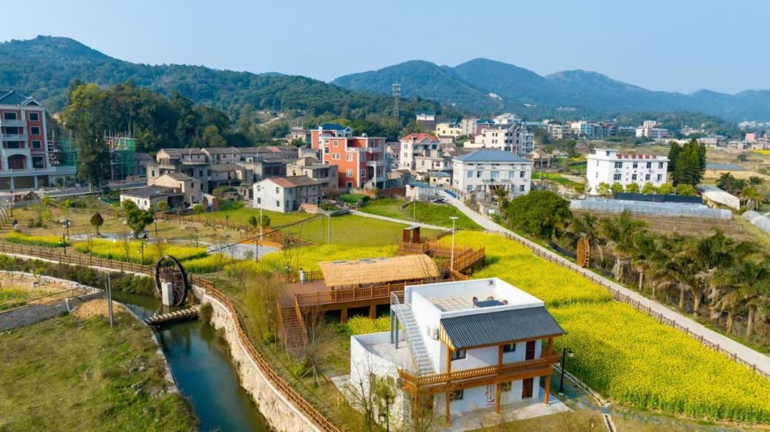 南岭镇稻田公园全景