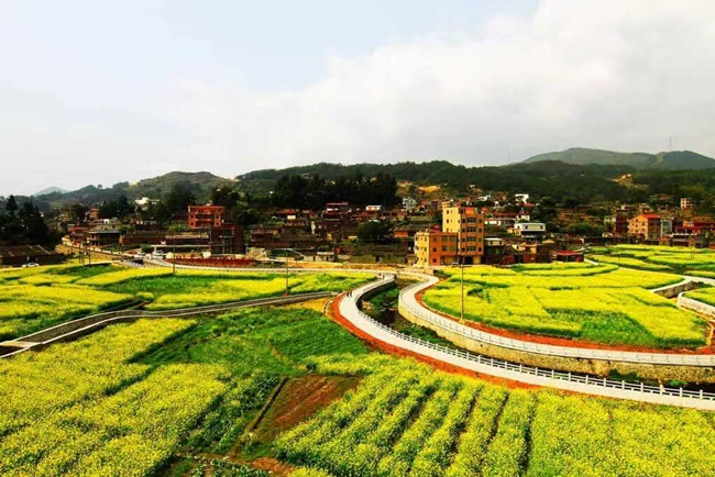 虹山油菜花田。洛江區自然資源局供圖