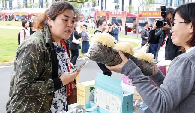 宁德古田：破局“闯新路” 书写“共富经”